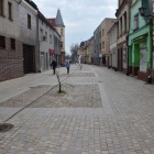 zdjęcie nr 12