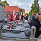 zdjęcie nr 29