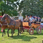 zdjęcie nr 5