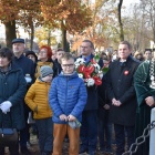 zdjęcie nr 24