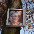 zdjęcie nr 6