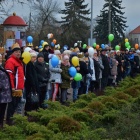 zdjęcie nr 12