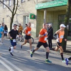 zdjęcie nr 44