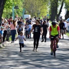 zdjęcie nr 31