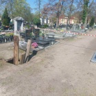 zdjęcie nr 3