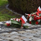 zdjęcie nr 45