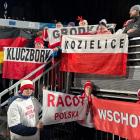 zdjęcie nr 9