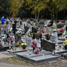 zdjęcie nr 28