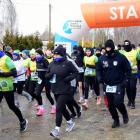 zdjęcie nr 30