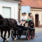 zdjęcie nr 10