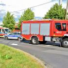 Fotka nr 5 z 12