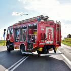 Fotka nr 2 z 19