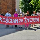 zdjęcie nr 8