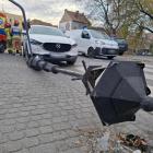 zdjęcie nr 7