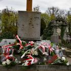 zdjęcie nr 23