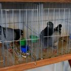 zdjęcie nr 25