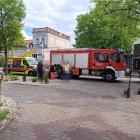 Fotka nr 5 z 8