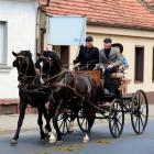 zdjęcie nr 18