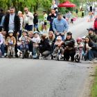 zdjęcie nr 26
