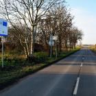 zdjęcie nr 12