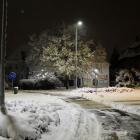 zdjęcie nr 41