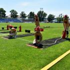 zdjęcie nr 99