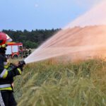 Pożar stogu w gminie Krzywiń (3)