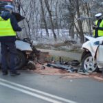 Tragiczny wypadek koło Leszna (12)