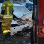 Tragiczny wypadek koło Leszna (14)